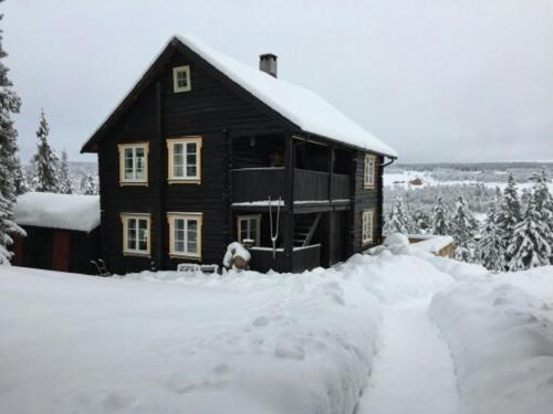 uma casa preta com um cão parado na neve em Nedre Skogtun cabin by Norgesbooking em Hovda