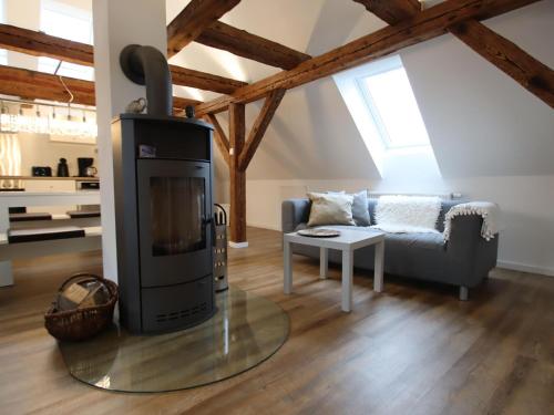 a living room with a fireplace and a couch at Bauernhaus am Plauer See mit Kamin in Zarchlin