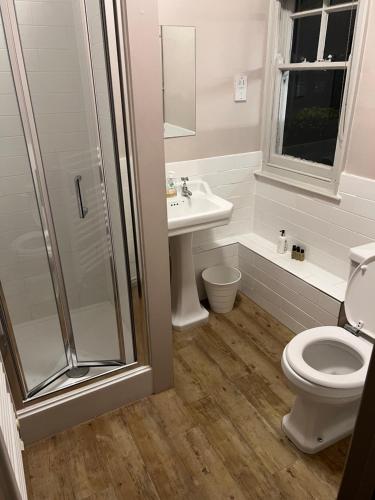 a bathroom with a shower and a toilet and a sink at The Fox Inn in Abingdon