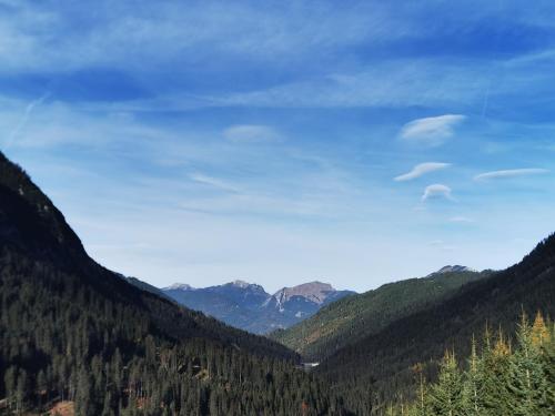 a view of a valley with trees and mountains at Ferienwohnung Abendrot in Berwang