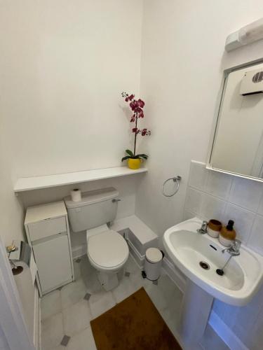uma casa de banho branca com um WC e um lavatório em Silver Eagle em Dublin