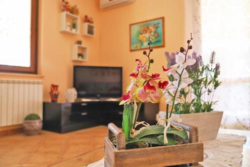 Lucy's cottage – Photos 4