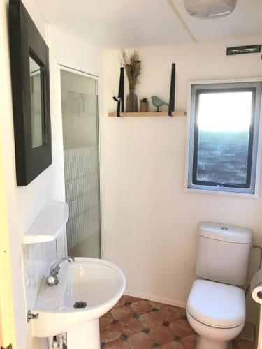 a bathroom with a toilet and a sink and a window at Chalet Buitengewoon in Rijs