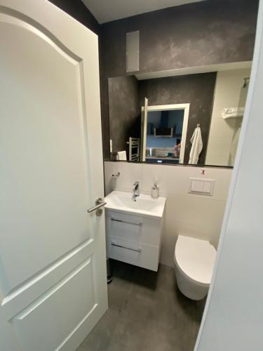 a bathroom with a white toilet and a sink at Apartment Stadtblick in Braunschweig