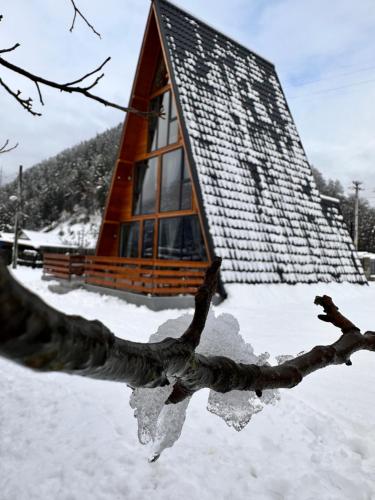 a log cabin in the snow with a tree reflection at Hidden Cabin in Brezoi