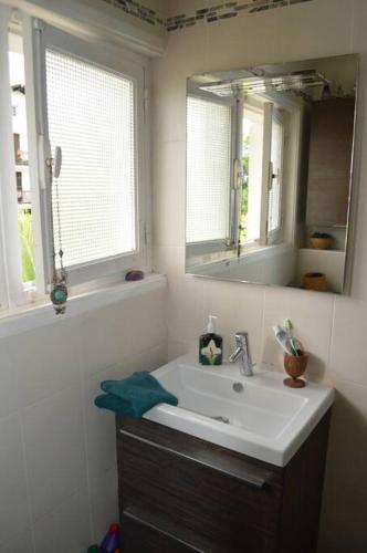une salle de bain avec un lavabo et un miroir dans l'établissement A l'ombre du palmier, maison à 1,2 km de l'océan, à Hendaye