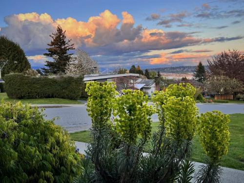 a bush with yellow flowers in front of a house at Lovely J Home -Stunning river view cozy two bedroom private suite in New Westminster