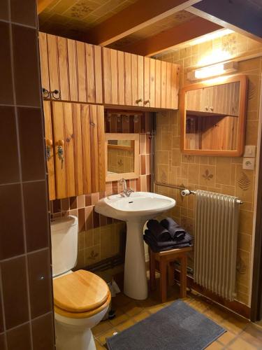 une salle de bain avec toilettes et lavabo dans l'établissement RESIDENCE BELLE HUTTE COTÉ PISTES DE SKI 2, à La Bresse