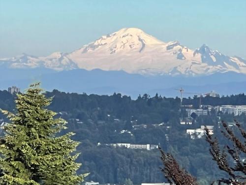 a snow covered mountain in the distance with a tree at Lovely J Home -Stunning river view cozy two bedroom private suite in New Westminster
