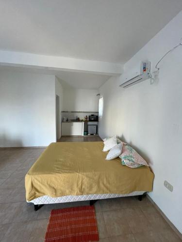 1 dormitorio con 1 cama grande en una habitación en La Escala lll en Corrientes
