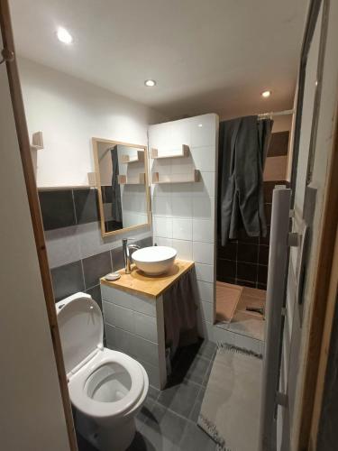 une salle de bain avec toilettes et lavabo dans l'établissement Ruelles et terrasses, à Mirabel