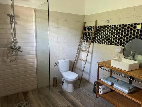 ein Bad mit einem WC, einer Dusche und einem Waschbecken in der Unterkunft Le Bois Bohème in Sainte-Luce