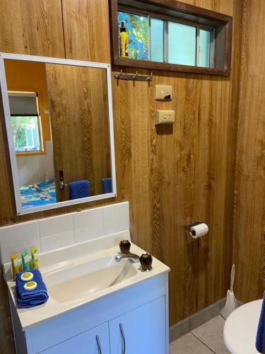 uma casa de banho com um lavatório branco e um espelho. em Beachcomber Caravan Park em Mallacoota