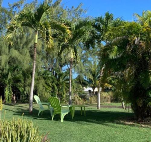 a park with two green chairs and palm trees at LE JARDIN DE GABRIEL in Sainte-Anne