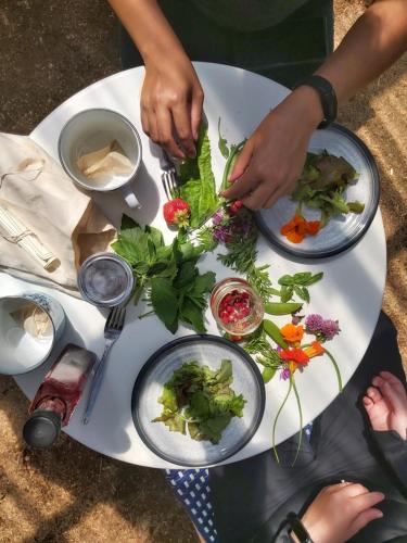 a white table with plates of food on it at Upper Humber Settlement a FarmStay B&B in Cormack