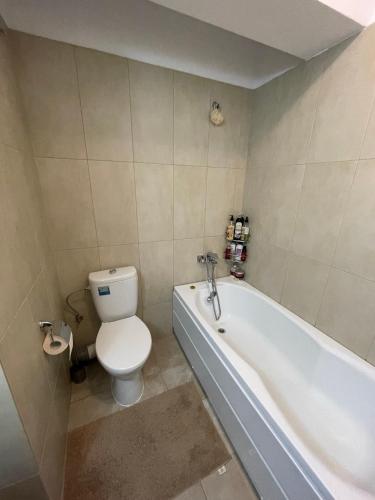 a bathroom with a toilet and a bath tub at Cozy Apartment - near Palas Mall and Airport in Iaşi