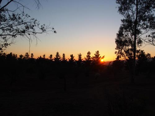 a sunset in a field with trees in the foreground at Casa Mayoral B&B Pet friendly in Valle de Guadalupe