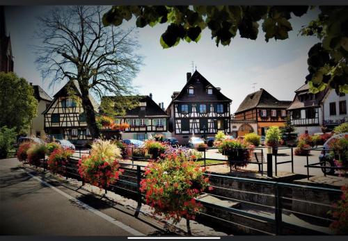 a bunch of flowers in front of a building at Gite Au sauna de l’Aubach in Scherwiller