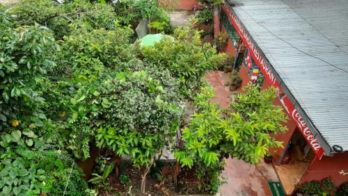 an overhead view of a garden of trees and bushes at Best Hostel in Kathmandu