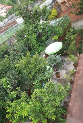 an overhead view of a garden with plants and a green umbrella at Best Hostel in Kathmandu