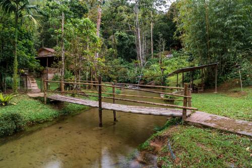 a wooden bridge over a river in a forest at Rain Forest Inn in Ringlet
