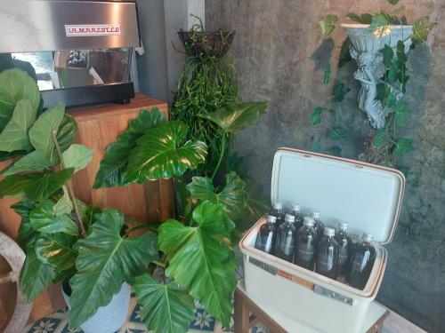 Billede fra billedgalleriet på The Touch Green Naiyang Hotel & Fitness i Naiyang Beach