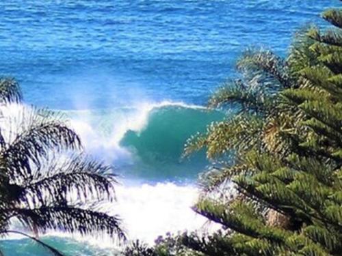a wave in the ocean with palm trees at Mollymook Ocean View Motel Rewards Longer Stays -over 18s Only in Mollymook