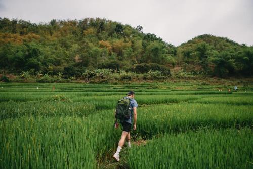 Landskap semula jadi dekat dengan resort