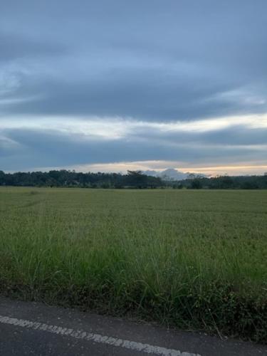 a field of green grass next to a road at Natures Bliss Holidays in Ja-Ela