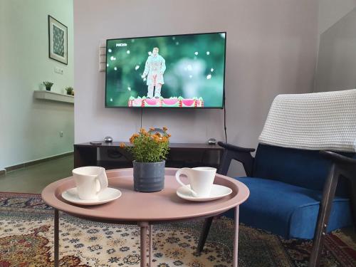 sala de estar con mesa de centro y TV en OLD TOWN Sarajevo center apartment 2+2, en Sarajevo