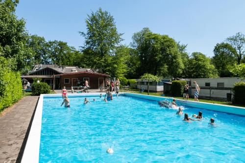 un grupo de personas jugando en una piscina en Chalet Buitengewoon, en Rijs