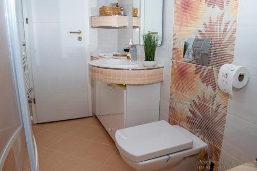 a small bathroom with a toilet and a sink at Apartment Heart of Bjelovar in Bjelovar