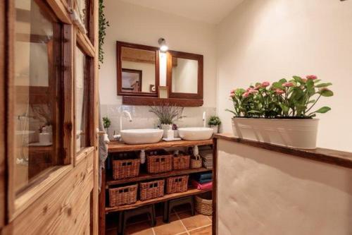 Baño con 2 lavabos, espejo y plantas en appartement de charme 4/6 pers dans joli village de montagne, en Bourg-Saint-Maurice