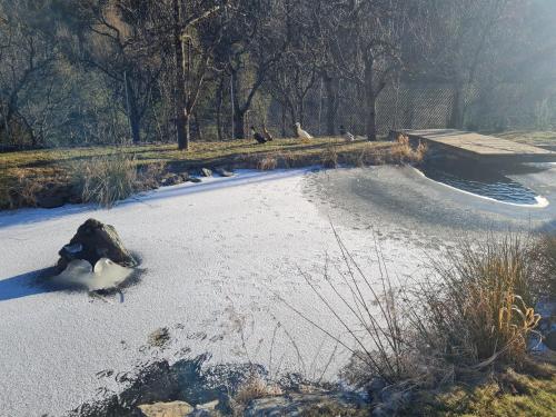 a skate park with snow and a skate ramp at Apartment Silvretta in Pians