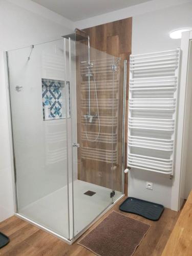 a shower with a glass door in a bathroom at Apartament Zimowiec in Duszniki Zdrój