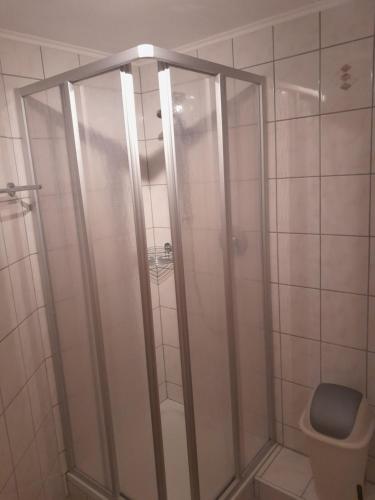 uma casa de banho com um chuveiro e um WC. em BIO Bauernhof GEISL em Sankt Ulrich am Pillersee