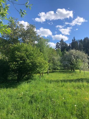 a field of grass with trees in the background at Apartment am Ponyhof in Sankt Kanzian