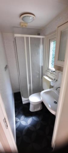 een badkamer met een toilet en een wastafel bij Chalet Op Bosrijk Familiepark in Raalte