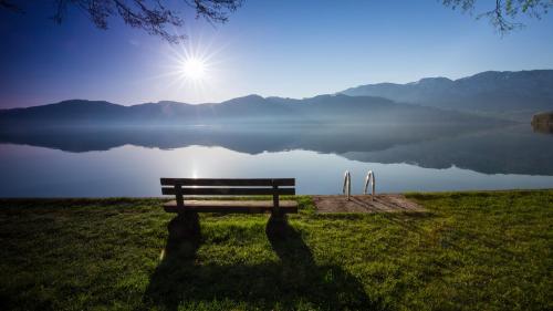 a bench sitting on the grass next to a lake at Hotel Restaurant Häupl in Seewalchen