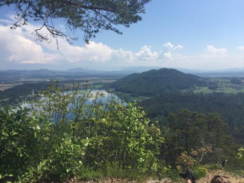 a view from the top of a hill overlooking a lake at Apartment am Ponyhof in Sankt Kanzian