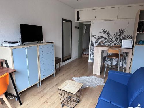 Televízia a/alebo spoločenská miestnosť v ubytovaní Toulouse Appartement Hypercentre