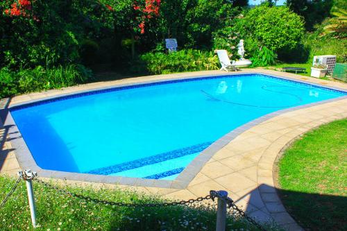a large blue swimming pool in a yard at Heroes Garden Lodge in Pietermaritzburg