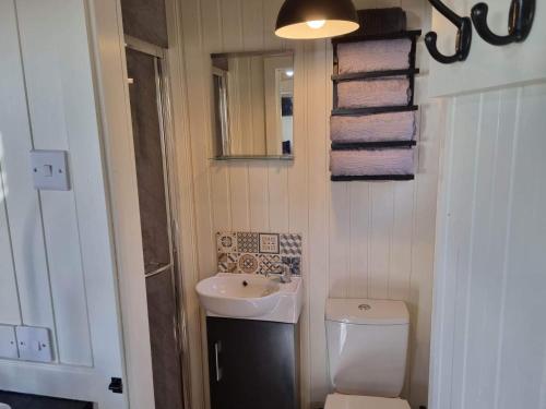 a small bathroom with a sink and a toilet at North Muasdale Farm - Byre View in Muasdale
