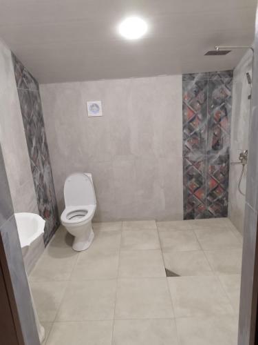 ein Bad mit einem WC und einem Waschbecken in der Unterkunft Комнаты у Айрин in Wanadsor
