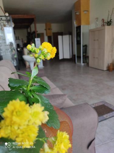 Η κουζίνα ή μικρή κουζίνα στο B&B Borgo Pileri