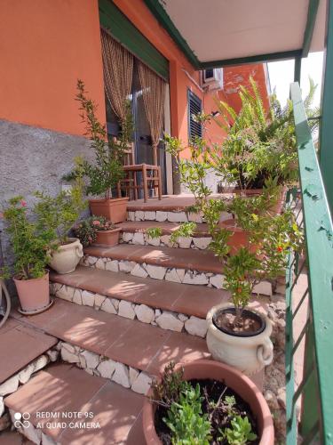 Κήπος έξω από το B&B Borgo Pileri
