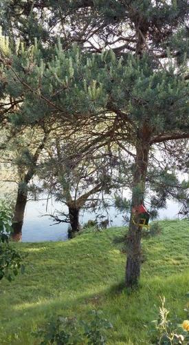 Villa Leona – Photos 5