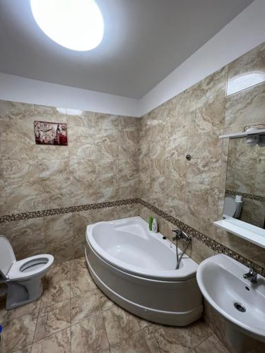 uma casa de banho com uma banheira, um WC e um lavatório. em R&C Relax Apartment 306 em Roşu