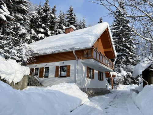 una casa cubierta de nieve con techo cubierto de nieve en Cottage House Jakob, en Cerklje na Gorenjskem