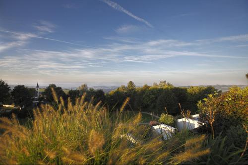 a field of tall grass with a church in the distance at Curhaus Bad Kreuzen in Bad Kreuzen